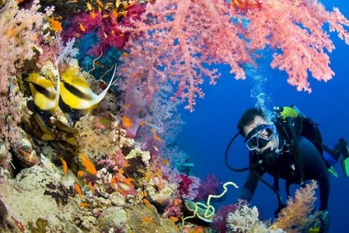 Scuba Diving Tour Dubai